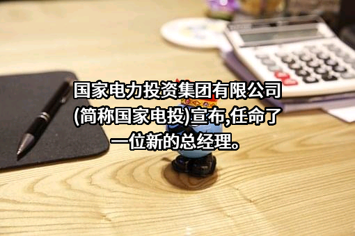 国家电力投资集团有限公司