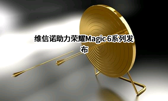 荣耀终端有限公司