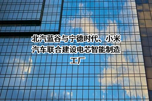 北京蓝谷极狐汽车科技有限公司