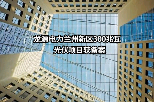 龙源电力集团股份有限公司