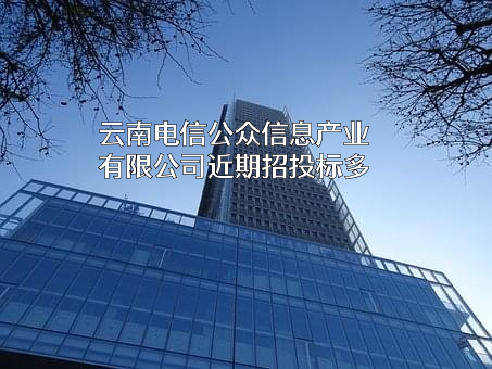 云南电信公众信息产业有限公司