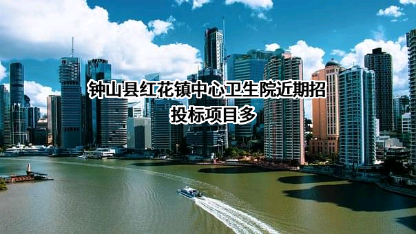 钟山县红花镇中心卫生院近期招投标项目多