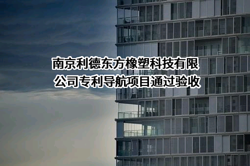 南京利德东方橡塑科技有限公司