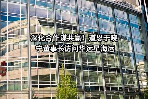 华远星海运有限公司