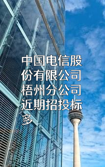 中国电信股份有限公司梧州分公司