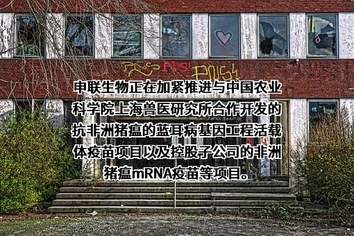 申联生物医药（上海）股份有限公司