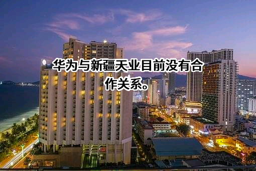 新疆天业股份有限公司