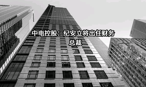 中电控股有限公司