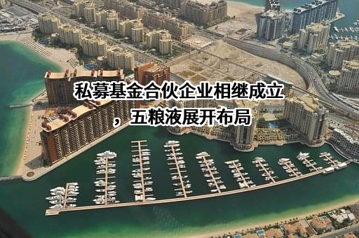 宜宾五粮液股份有限公司
