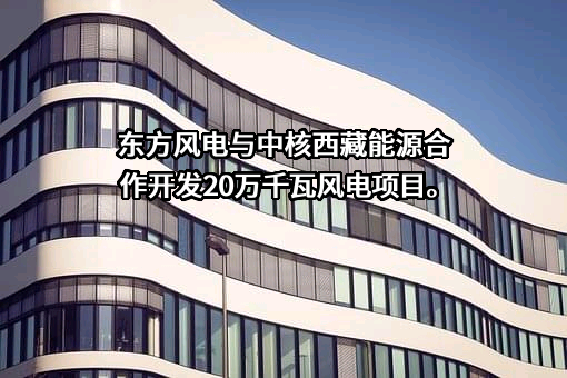 东方电气风电股份有限公司