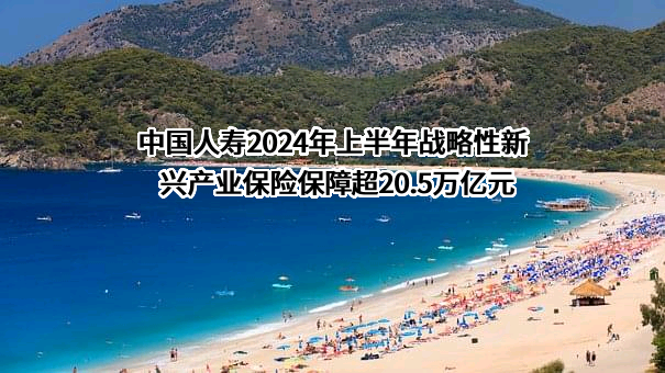 中国人寿2024年上半年战略性新兴产业保险保障超20.5万亿元