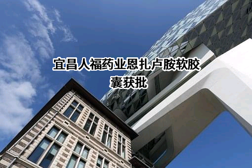宜昌人福药业有限责任公司