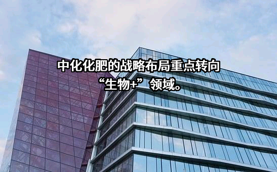 中化化肥控股有限公司