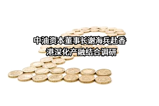 中国石油集团资本股份有限公司