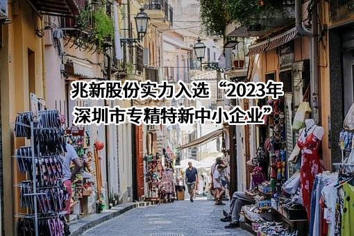 深圳市兆新能源股份有限公司