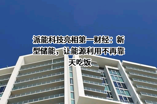 上海派能能源科技股份有限公司
