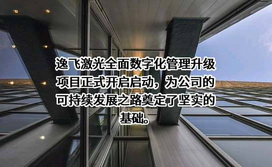 武汉逸飞激光股份有限公司