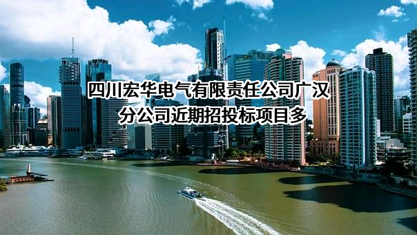 四川宏华电气有限责任公司广汉分公司近期招投标项目多