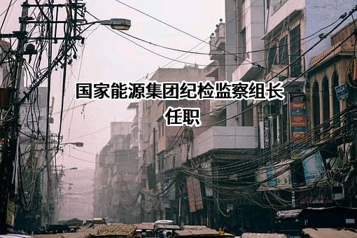 国家能源投资集团有限责任公司