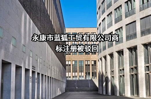 永康市蓝狐工贸有限公司商标注册被驳回