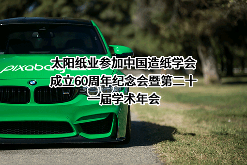 山东太阳纸业股份有限公司