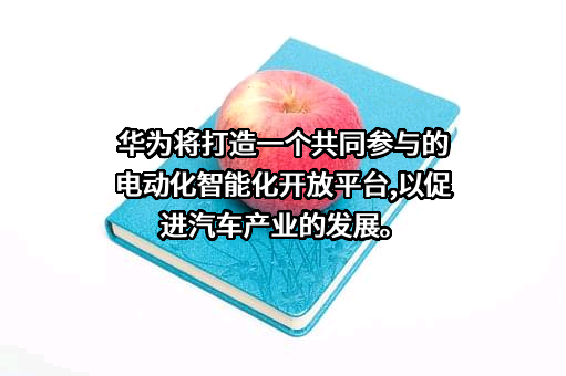 华为技术有限公司