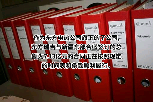 新疆东部合盛硅业有限公司
