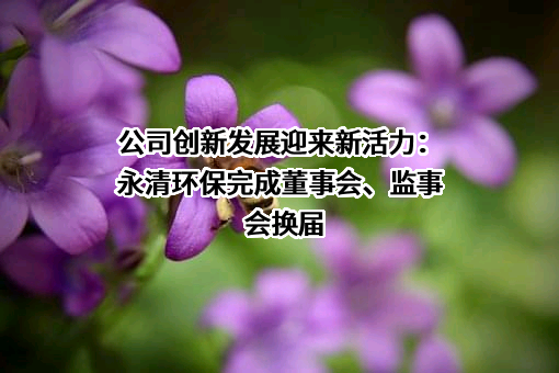永清环保股份有限公司