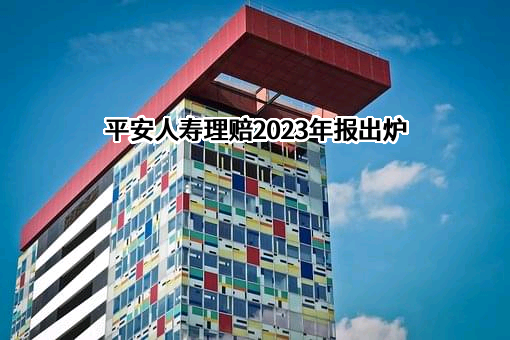 中国平安人寿保险股份有限公司