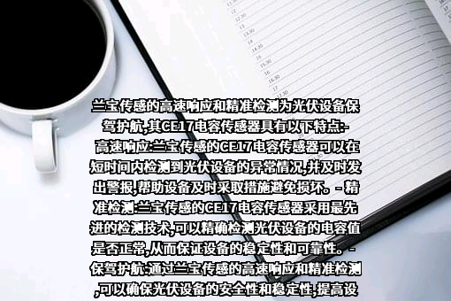 上海兰宝传感科技股份有限公司