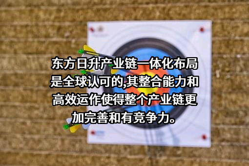 东方日升新能源股份有限公司