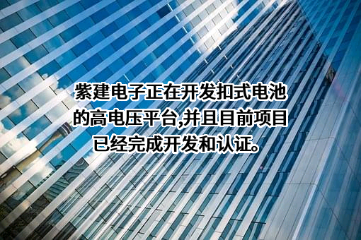 重庆市紫建电子股份有限公司
