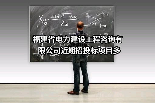 福建省电力建设工程咨询有限公司近期招投标项目多