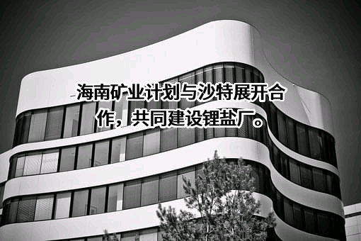 海南矿业股份有限公司