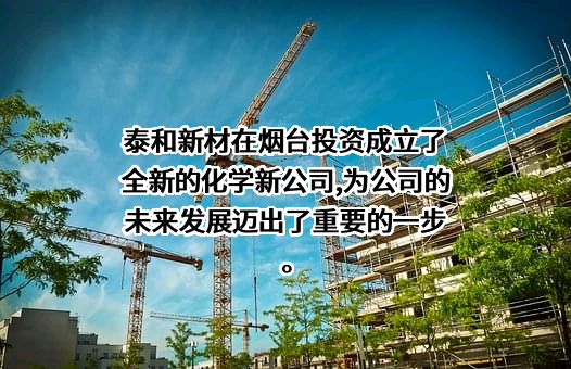 泰和新材集团股份有限公司