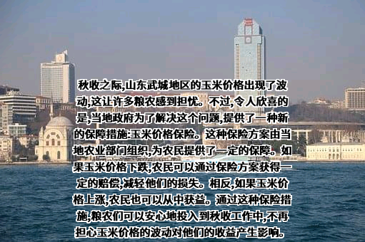 浙商期货有限公司