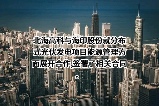 广东海印集团股份有限公司