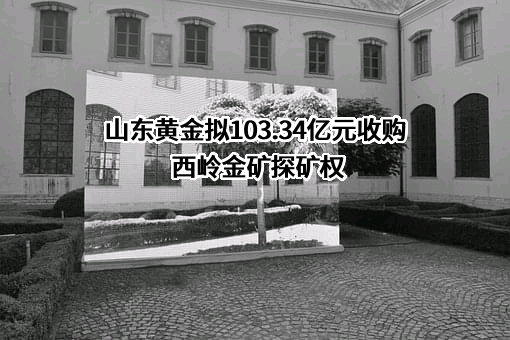 山东黄金矿业股份有限公司