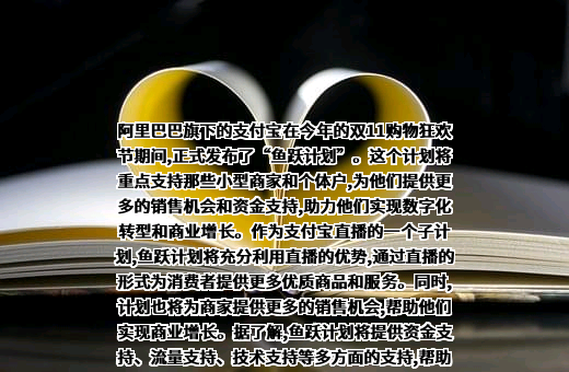 支付宝（中国）网络技术有限公司
