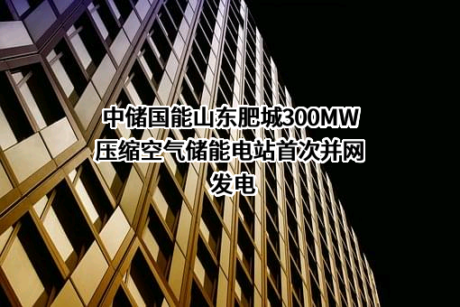 中储国能（北京）技术有限公司