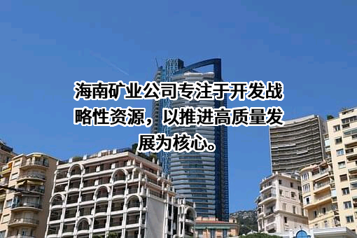 海南矿业股份有限公司