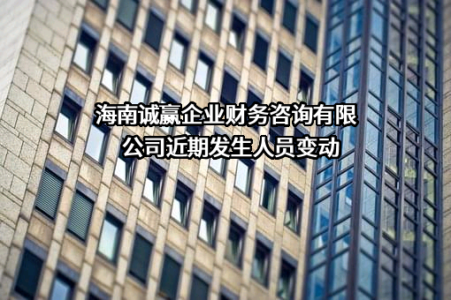 海南诚赢企业财务咨询有限公司