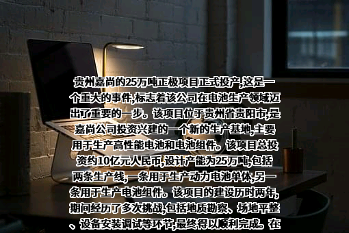 贵州嘉尚新能源材料有限公司