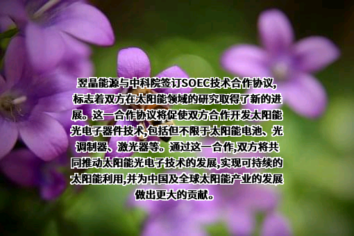 上海翌晶能源技术有限公司
