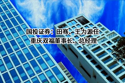 重庆市双福建设开发有限公司