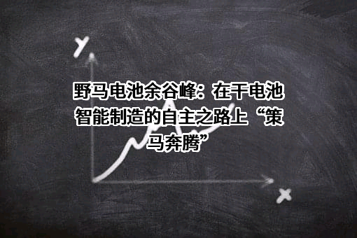 浙江野马电池股份有限公司