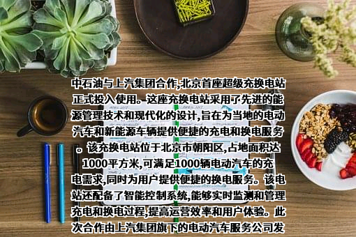 上海汽车集团股份有限公司