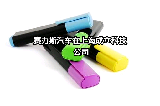 上海赛力斯汽车销售服务有限公司