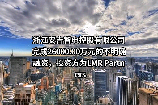浙江安吉智电控股有限公司