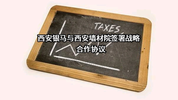西安银马实业发展有限公司